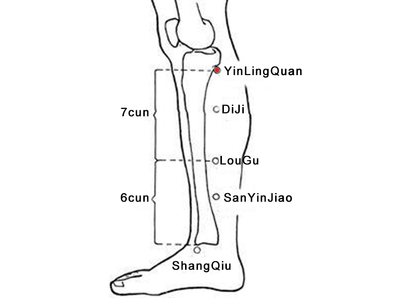 yinlingquan acupoint
