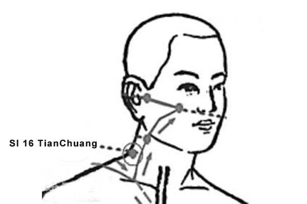 TianChuang acupoint