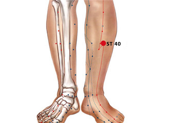 ST 40 acupuncture point fenglong
