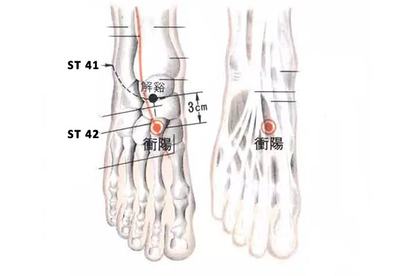 ST 42 acupuncture point chongyang